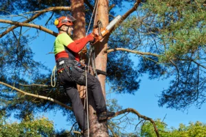 Crown Lifting Harrogate