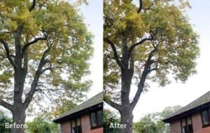 Crown Lifting Harrogate