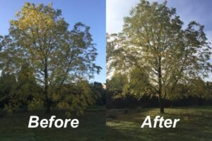 Crown Lifting Harrogate