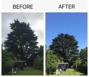 Crown Reduction Harrogate
