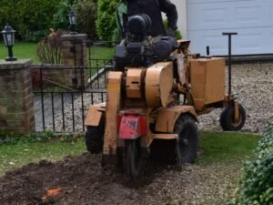 Stump Grinding Harrogate