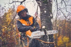 Tree Felling Harrogate