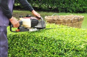 Hedge Trimming Harrogate