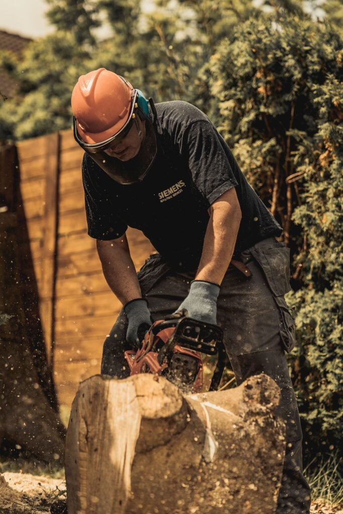 Tree Surgeon Harrogate